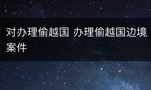 对办理偷越国 办理偷越国边境案件