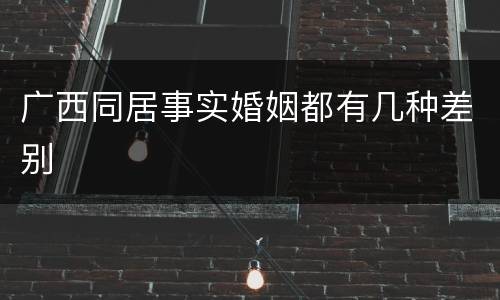 广西同居事实婚姻都有几种差别