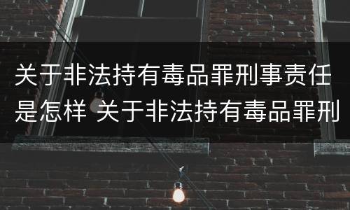关于非法持有毒品罪刑事责任是怎样 关于非法持有毒品罪刑事责任是怎样规定的