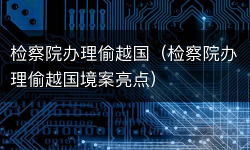 检察院办理偷越国（检察院办理偷越国境案亮点）