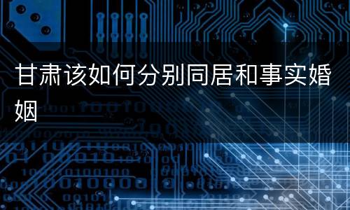 甘肃该如何分别同居和事实婚姻