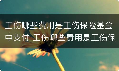 工伤哪些费用是工伤保险基金中支付 工伤哪些费用是工伤保险基金中支付的