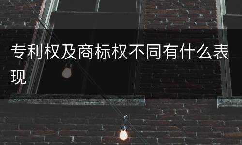 专利权及商标权不同有什么表现
