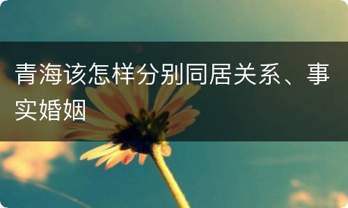 青海该怎样分别同居关系、事实婚姻