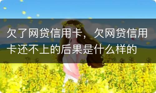 欠了网贷信用卡，欠网贷信用卡还不上的后果是什么样的