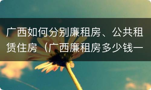 广西如何分别廉租房、公共租赁住房（广西廉租房多少钱一个月）