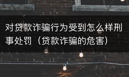 对贷款诈骗行为受到怎么样刑事处罚（贷款诈骗的危害）