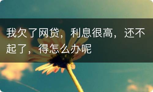 我欠了网贷，利息很高，还不起了，得怎么办呢