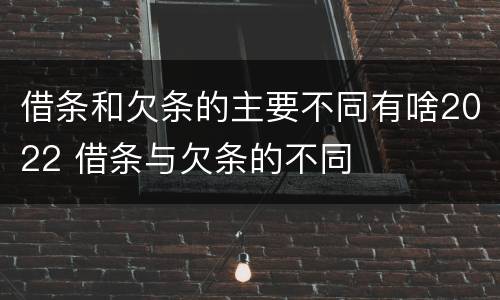借条和欠条的主要不同有啥2022 借条与欠条的不同