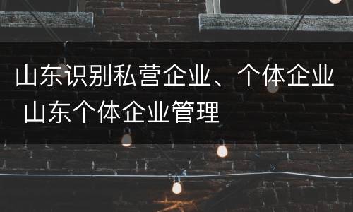 山东识别私营企业、个体企业 山东个体企业管理