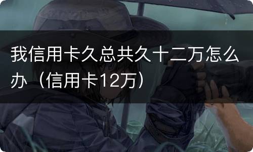 我信用卡久总共久十二万怎么办（信用卡12万）