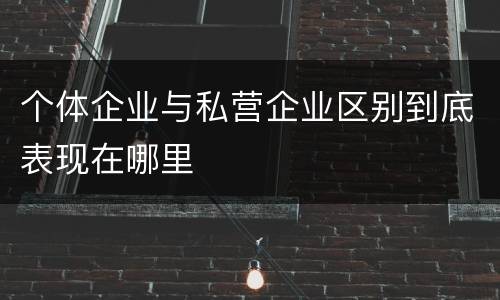 个体企业与私营企业区别到底表现在哪里