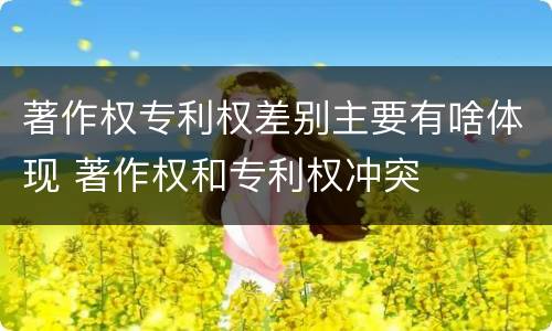 著作权专利权差别主要有啥体现 著作权和专利权冲突