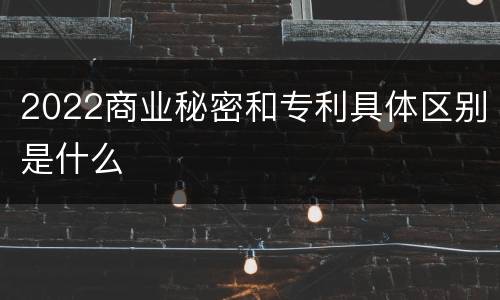 2022商业秘密和专利具体区别是什么