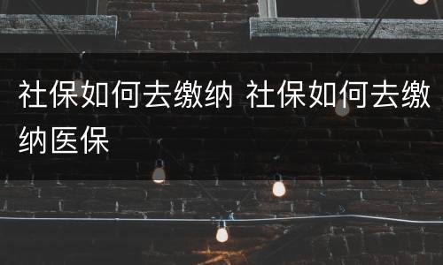社保如何去缴纳 社保如何去缴纳医保
