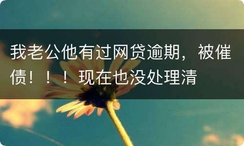 我老公他有过网贷逾期，被催债！！！现在也没处理清
