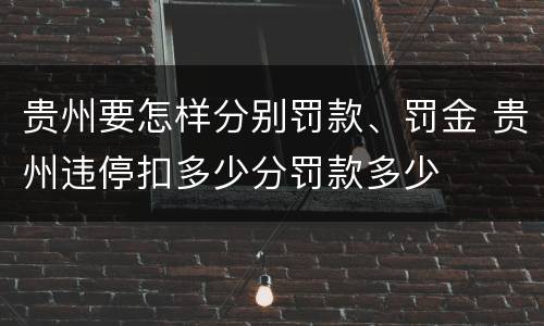 贵州要怎样分别罚款、罚金 贵州违停扣多少分罚款多少