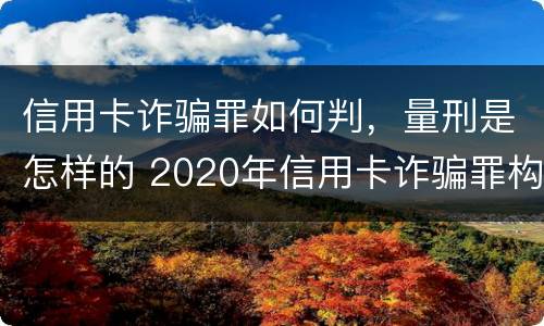 信用卡诈骗罪如何判，量刑是怎样的 2020年信用卡诈骗罪构成要件