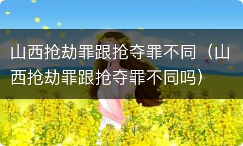 山西抢劫罪跟抢夺罪不同（山西抢劫罪跟抢夺罪不同吗）