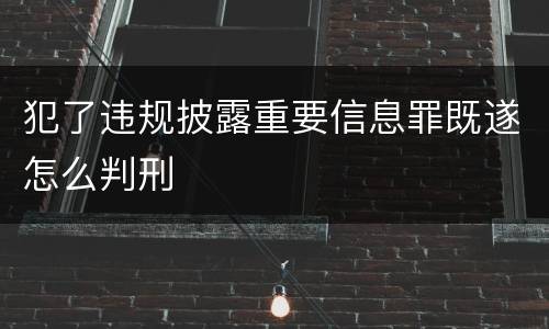 犯了违规披露重要信息罪既遂怎么判刑
