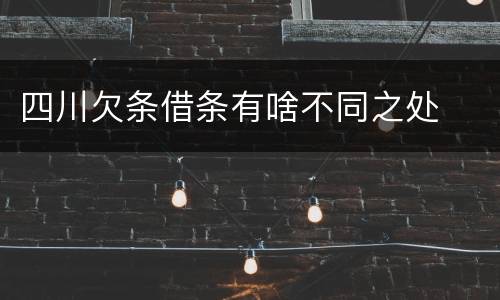 四川欠条借条有啥不同之处