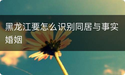 黑龙江要怎么识别同居与事实婚姻