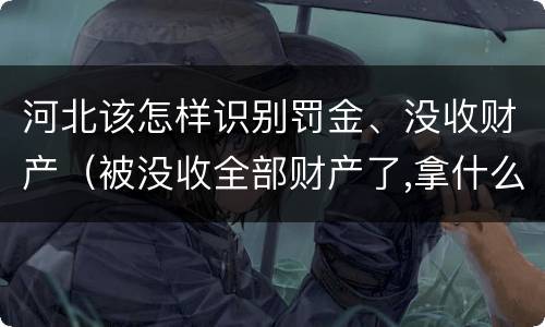 河北该怎样识别罚金、没收财产（被没收全部财产了,拿什么交罚金）
