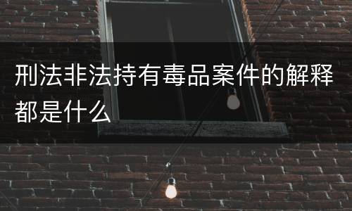 刑法非法持有毒品案件的解释都是什么