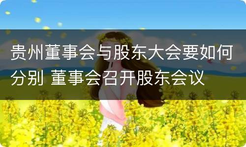 贵州董事会与股东大会要如何分别 董事会召开股东会议