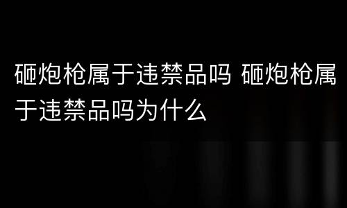 砸炮枪属于违禁品吗 砸炮枪属于违禁品吗为什么