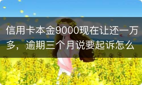 信用卡本金9000现在让还一万多，逾期三个月说要起诉怎么应对