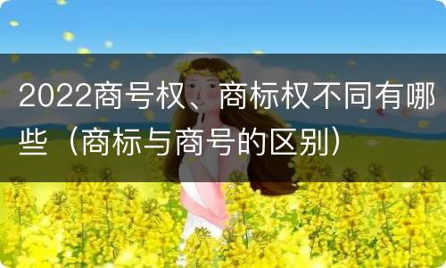 2022商号权、商标权不同有哪些（商标与商号的区别）