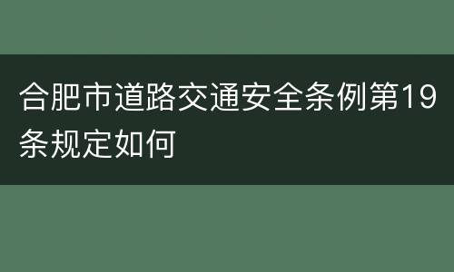 合肥市道路交通安全条例第19条规定如何