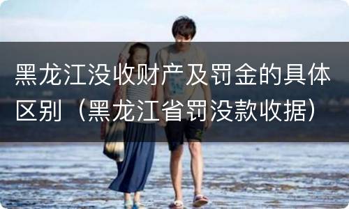 黑龙江没收财产及罚金的具体区别（黑龙江省罚没款收据）