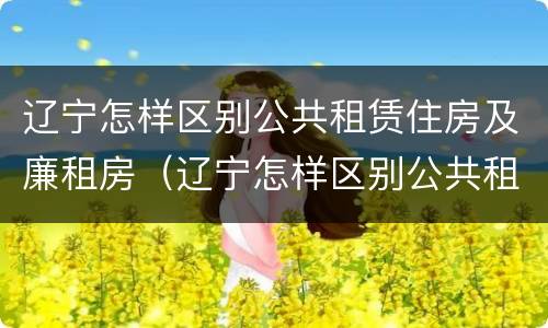 辽宁怎样区别公共租赁住房及廉租房（辽宁怎样区别公共租赁住房及廉租房呢）