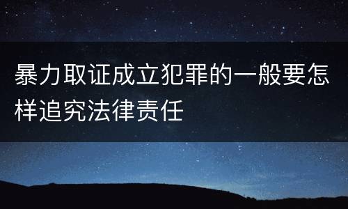 暴力取证成立犯罪的一般要怎样追究法律责任