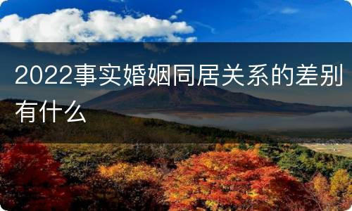 2022事实婚姻同居关系的差别有什么