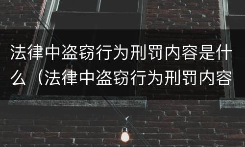 法律中盗窃行为刑罚内容是什么（法律中盗窃行为刑罚内容是什么罪）