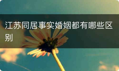 江苏同居事实婚姻都有哪些区别