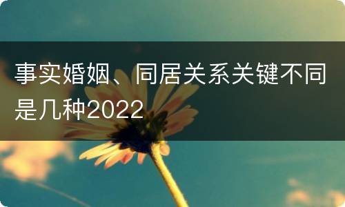 事实婚姻、同居关系关键不同是几种2022