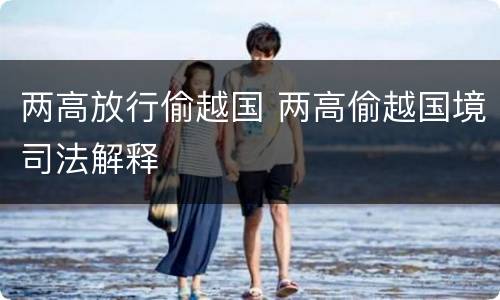 两高放行偷越国 两高偷越国境司法解释