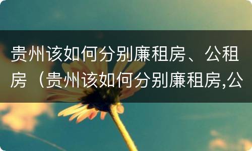 贵州该如何分别廉租房、公租房（贵州该如何分别廉租房,公租房和住宅）