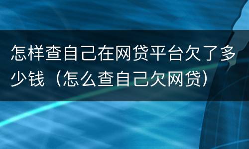 怎样查自己在网贷平台欠了多少钱（怎么查自己欠网贷）