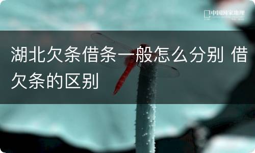 湖北欠条借条一般怎么分别 借欠条的区别