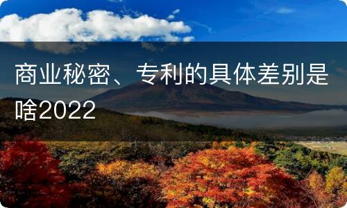 商业秘密、专利的具体差别是啥2022