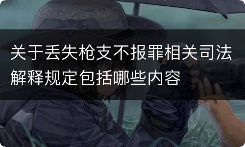 关于丢失枪支不报罪相关司法解释规定包括哪些内容