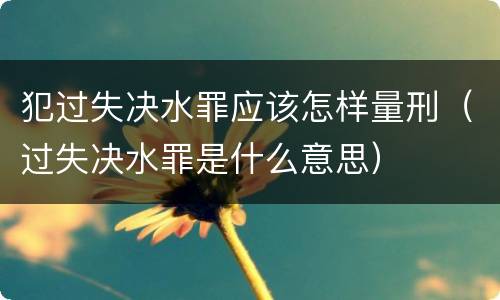 犯过失决水罪应该怎样量刑（过失决水罪是什么意思）