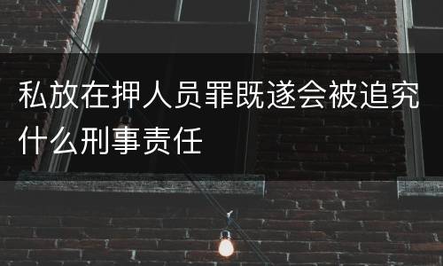 私放在押人员罪既遂会被追究什么刑事责任
