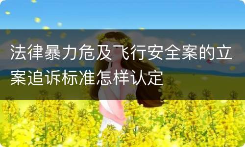法律暴力危及飞行安全案的立案追诉标准怎样认定