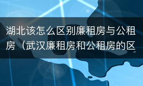 湖北该怎么区别廉租房与公租房（武汉廉租房和公租房的区别）